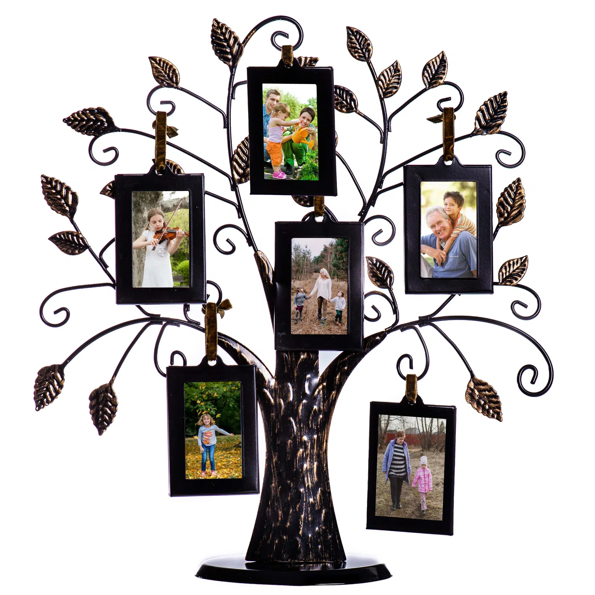 Family Tree Picture Frame Display